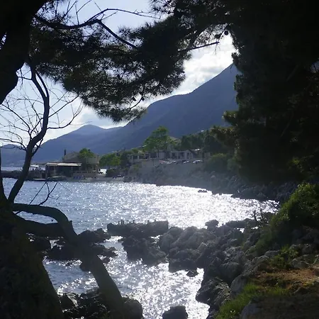Rex - A Little Piece Of Heaven! * Nisaki (Corfu)