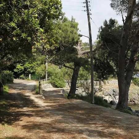 Rex - A Little Piece Of Heaven! Vilă Nisaki (Corfu)