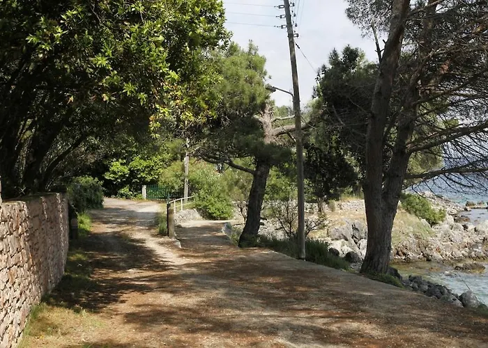 Rex - A Little Piece Of Heaven! Villa Nisaki (Corfu)
