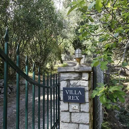 Rex - A Little Piece Of Heaven! * Nisaki (Corfu)