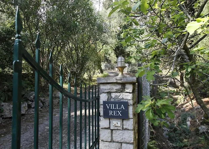 Rex - A Little Piece Of Heaven! * Nisaki (Corfu)