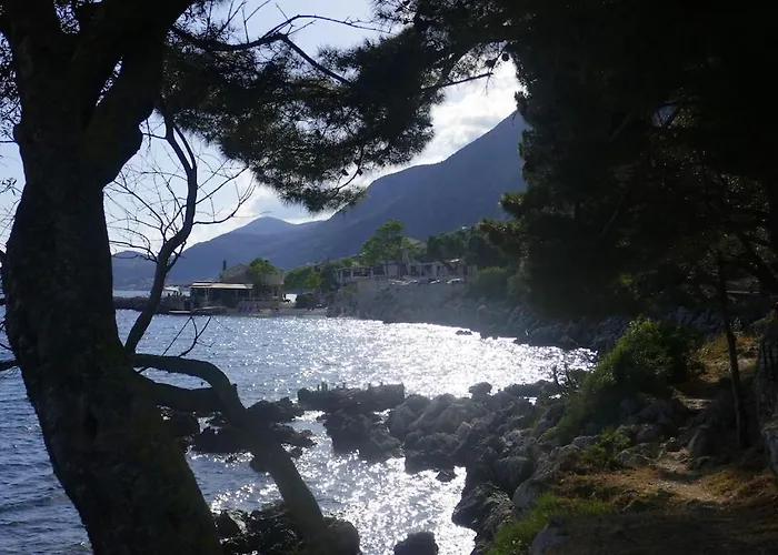 Rex - A Little Piece Of Heaven! * Nisaki (Corfu)